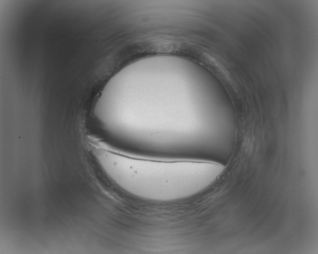 X0000075870307200609150948