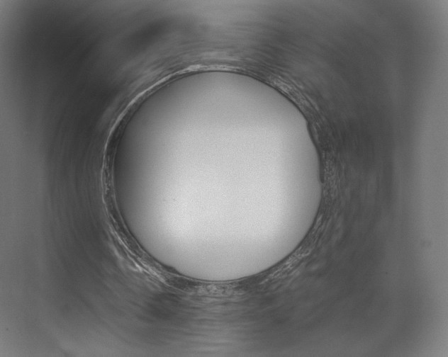 X0000075870338200609150947