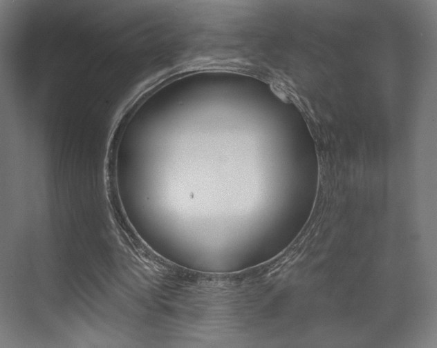 X0000075870340200609150947