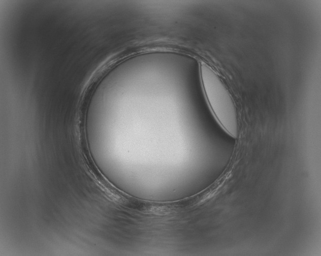 X0000075870341200609150947