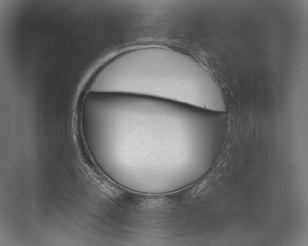 X0000075870342200609150947