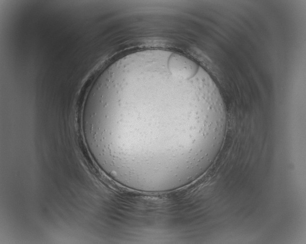 X0000075870347200609150947