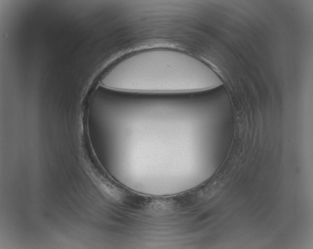 X0000075870350200609150947