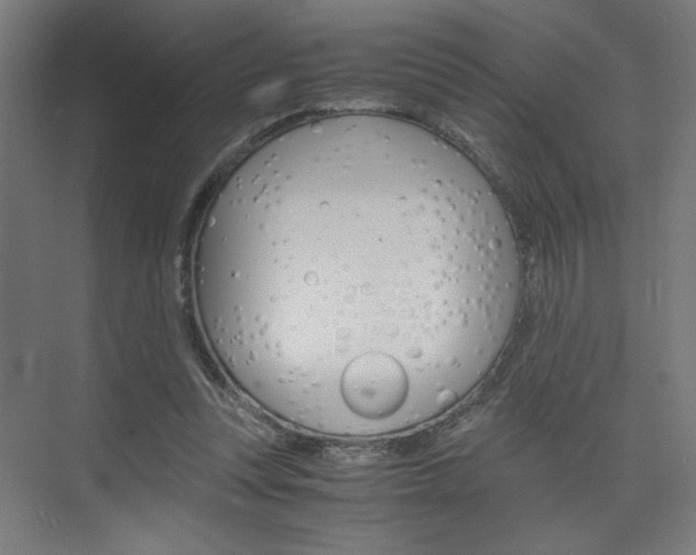 X0000075870351200609150947