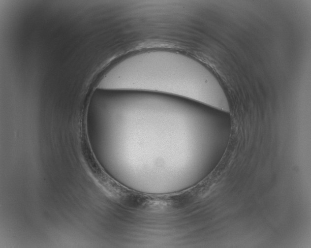X0000075870352200609150947