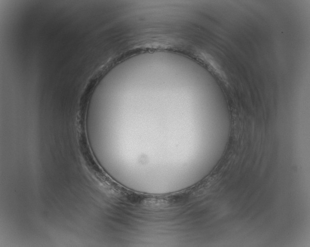 X0000075870354200609150947