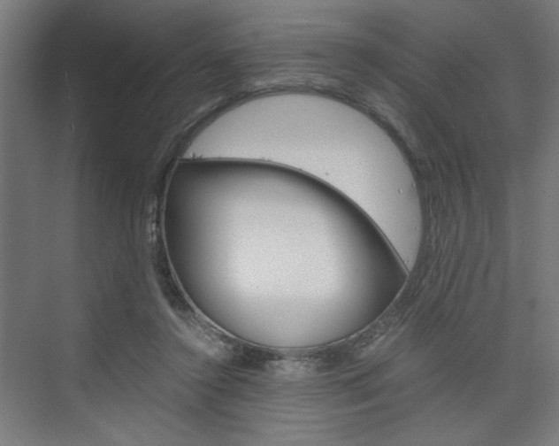 X0000075870356200609150947