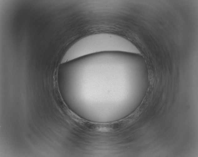 X0000075870360200609150947