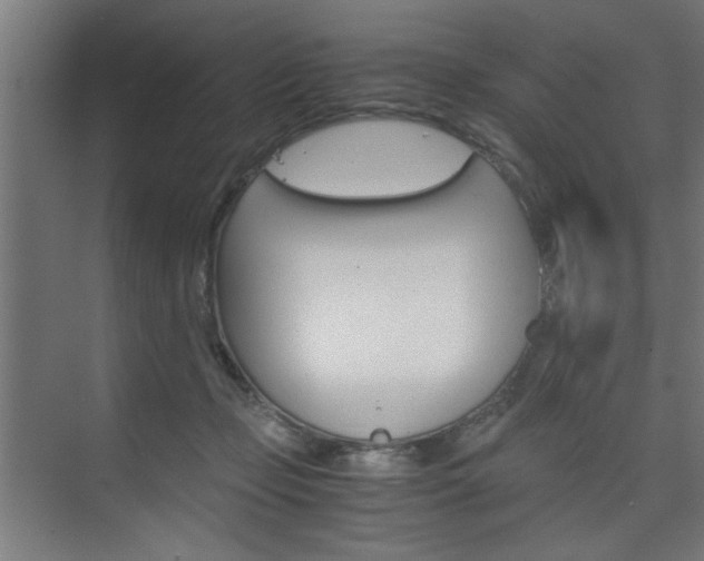 X0000075870365200609150947