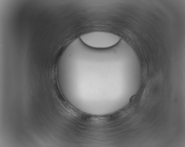 X0000075870367200609150947