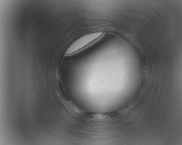 X0000075870380200609150948