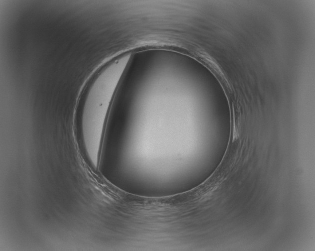 X0000075870387200609150947