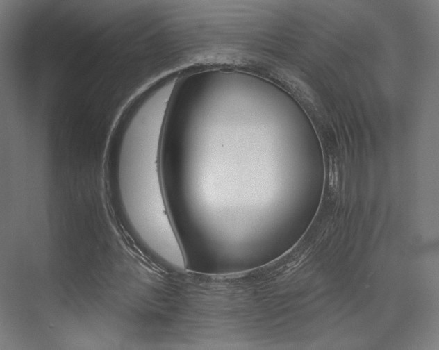 X0000075870388200609150947