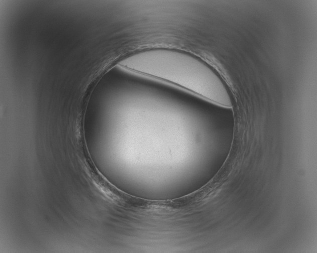 X0000075870393200609150947