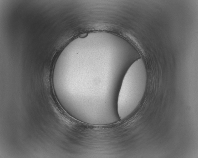 X0000075870394200609150947