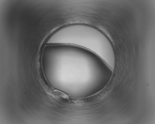 X0000075870395200609150947