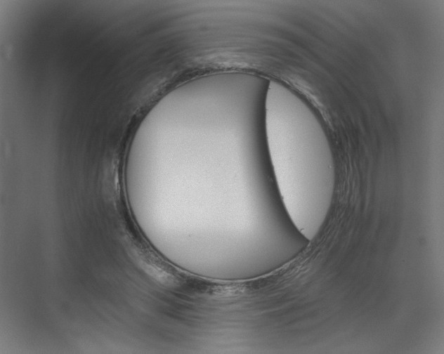 X0000075870398200609150947