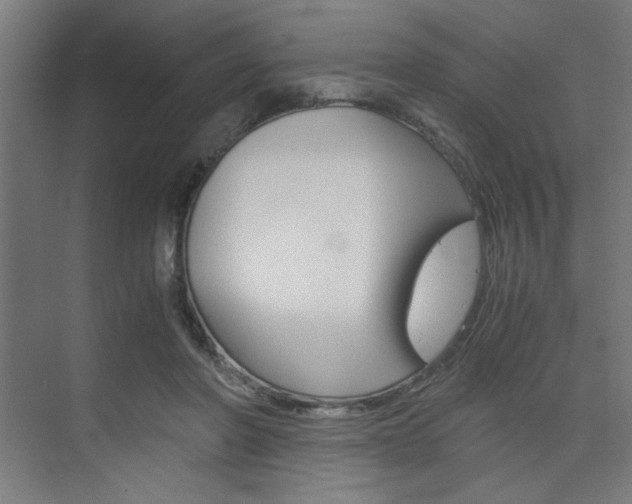 X0000075870406200609150947