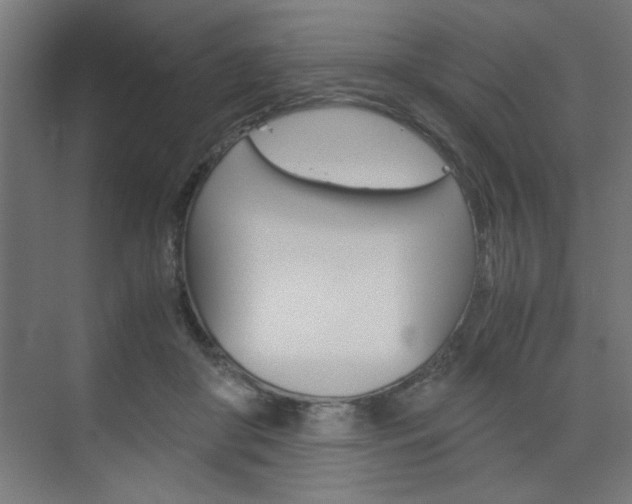 X0000075870410200609150946