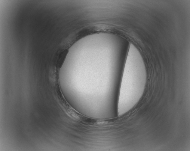 X0000075870413200609150946