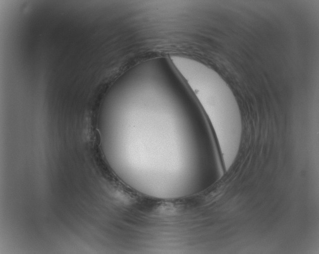 X0000075870416200609150946
