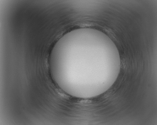 X0000075870426200609150946