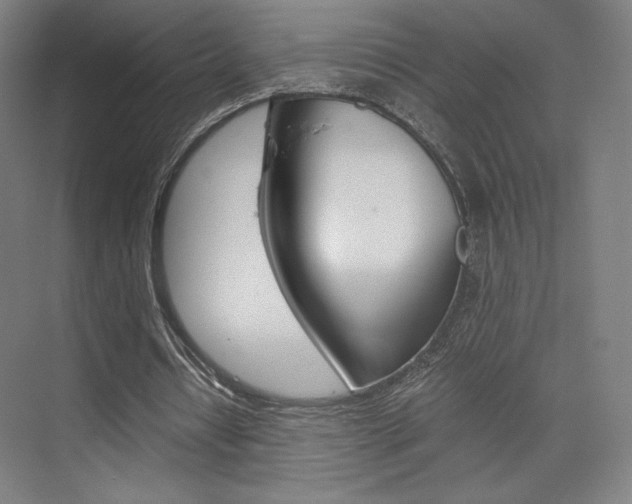 X0000075870434200609150945
