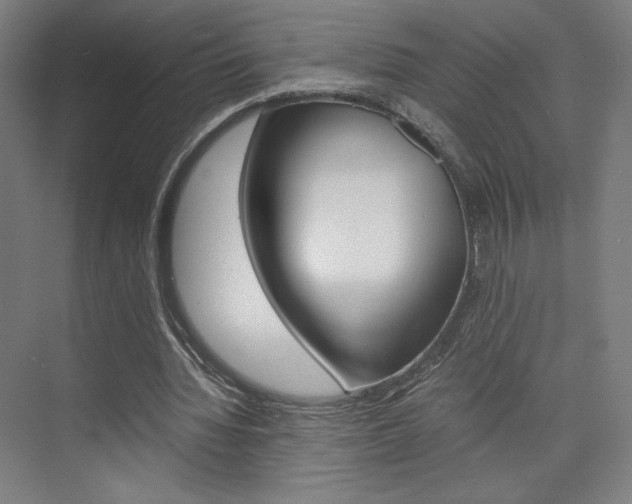 X0000075870436200609150945