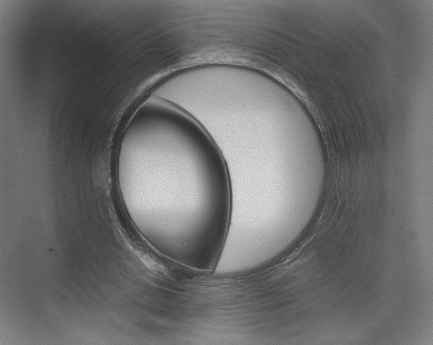 X0000075870438200609150945
