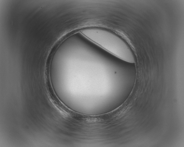 X0000075870439200609150945