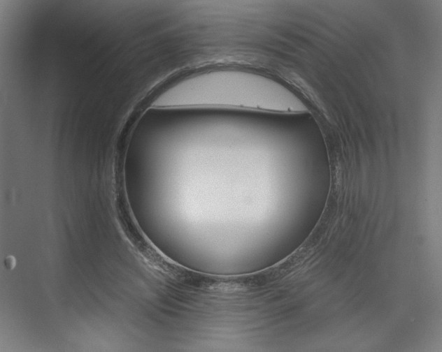 X0000075870444200609150945