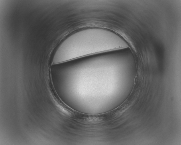 X0000075870445200609150945