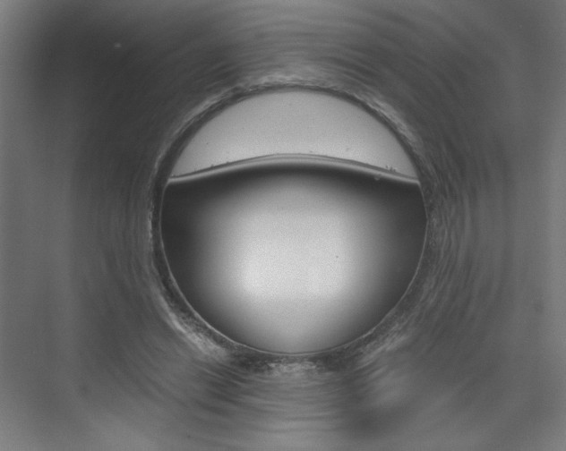 X0000075870446200609150946