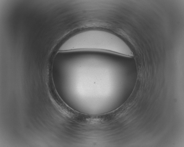 X0000075870448200609150946