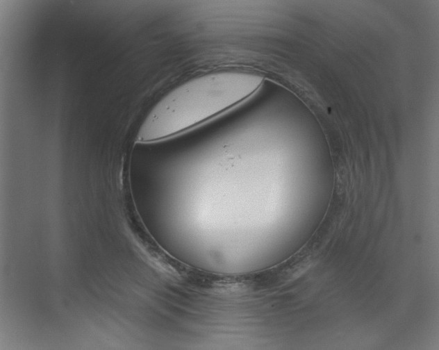 X0000075870454200609150946