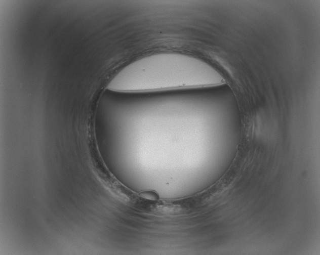 X0000075870455200609150946