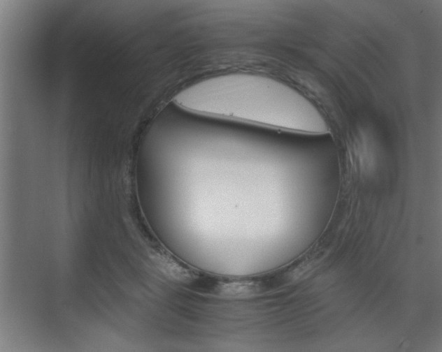 X0000075870461200609150946