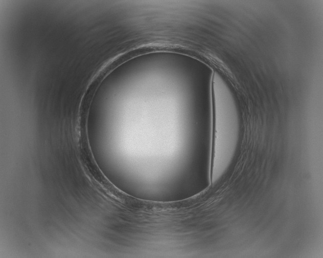 X0000075870484200609150945