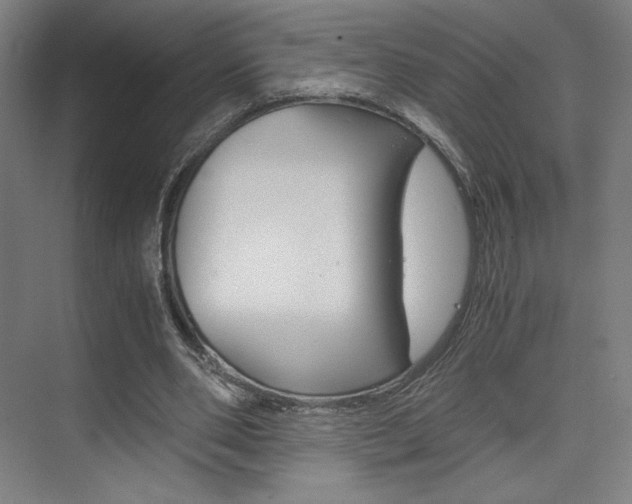 X0000075870486200609150945
