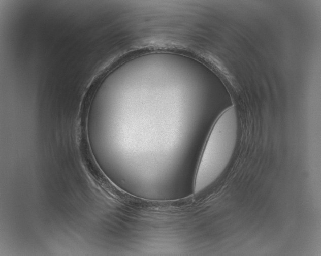 X0000075870488200609150945