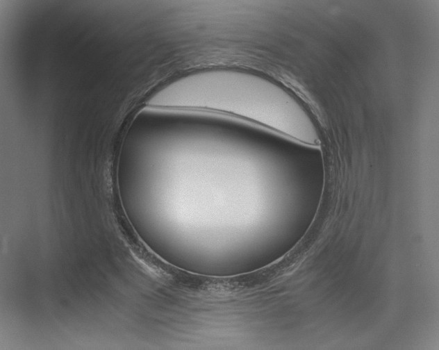 X0000075870489200609150945
