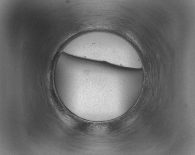 X0000075870491200609150945