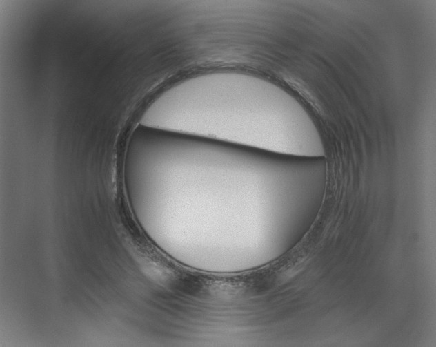 X0000075870494200609150945