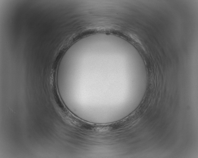 X0000075870495200609150945