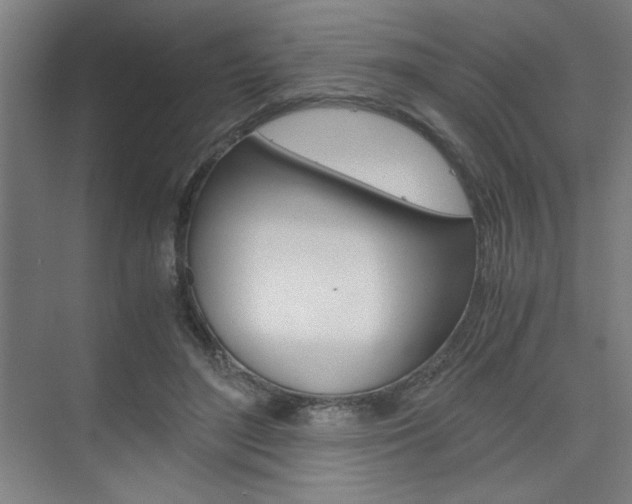 X0000075870500200609150945