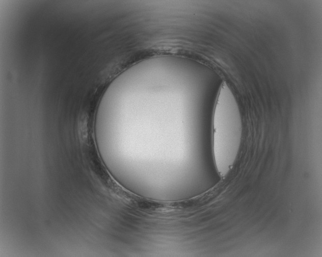 X0000075870504200609150945