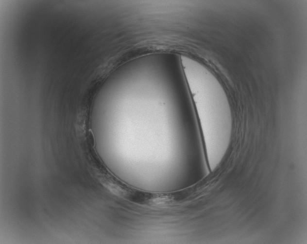 X0000075870505200609150945