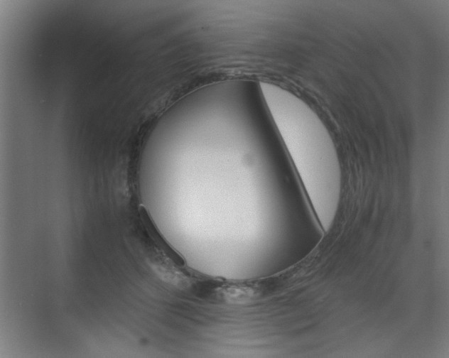 X0000075870512200609150945