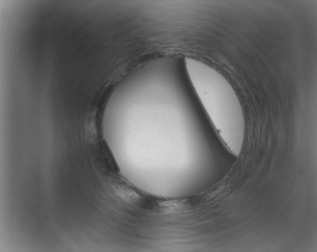 X0000075870516200609150945