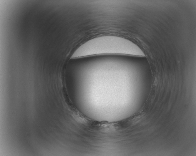 X0000075870524200609150945